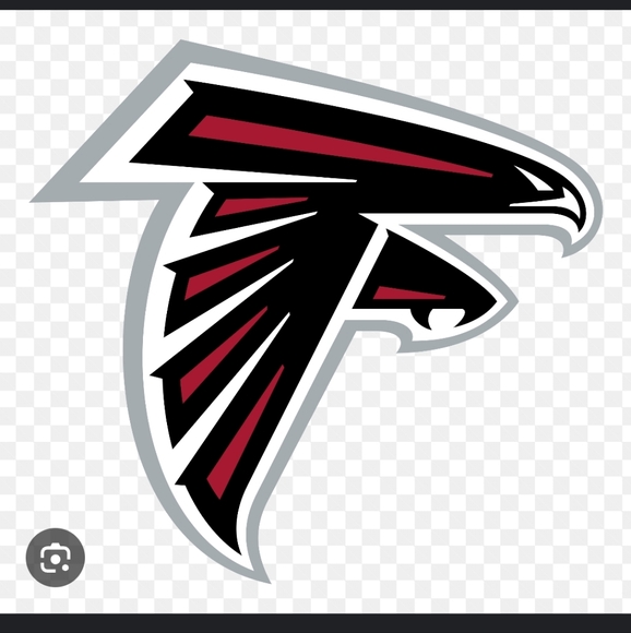 Mitchell & Ness Vintage 90's Atlanta Falcons RSVP Gallery Snakeskin Snapback Hat - Picture 16 of 16